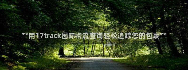 28圈吧：**用17track国际物