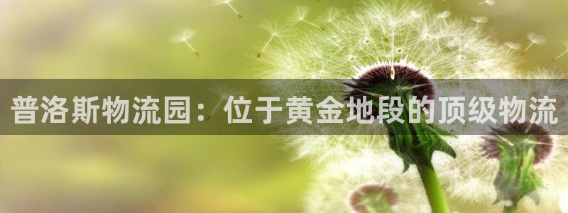 28圈模拟：普洛斯物流园：位于黄金地