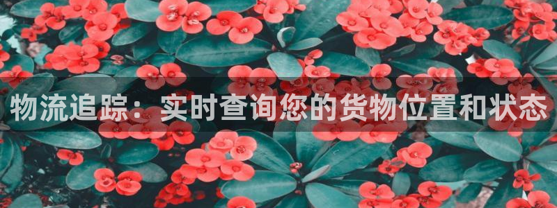 28圈注册网站多少钱一个：物流追踪：