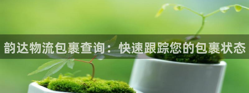 28圈怎么注册账号和密码：韵达物流包
