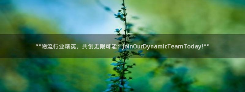 28圈加拿大预测：**物流行业精英，