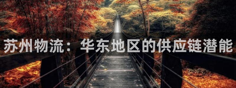 28圈辅助：苏州物流：华东地区的供应