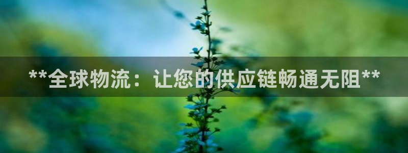 28圈提款一直没到：**全球物流：让