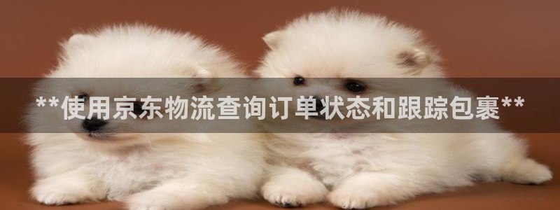 28圈加拿大官网：**使用京东物流查