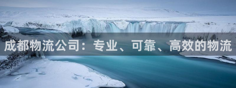 28圈麻将：成都物流公司：专业、可靠