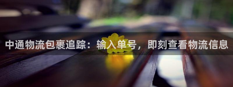 28圈官网平台：中通物流包裹追踪：输