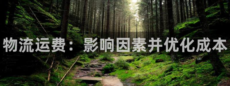 28圈注册：物流运费：影响因素并优化