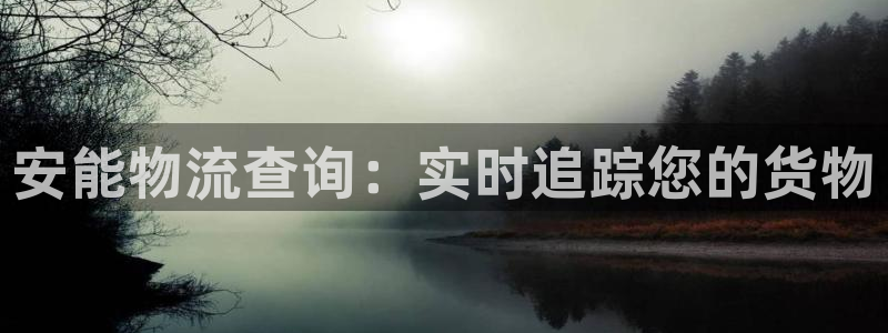 28圈怎么下载：安能物流查询：实时追