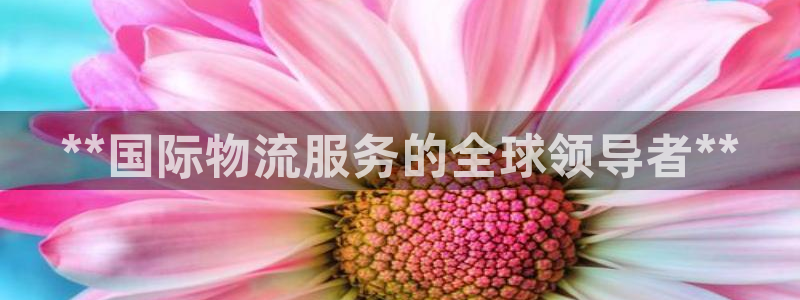 28圈账号注册：**国际物流服务的全