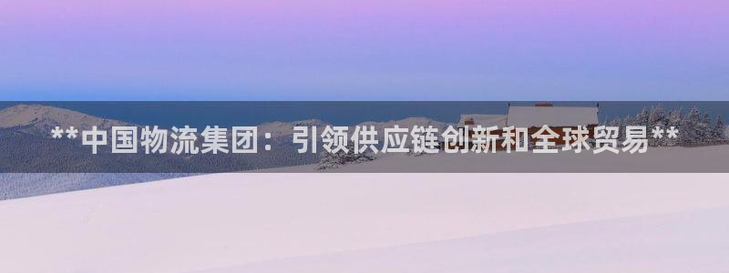 28圈链接多少：**中国物流集团：引