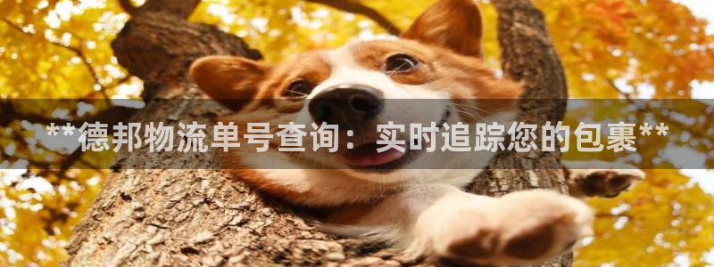 28圈技巧：**德邦物流单号查询：实