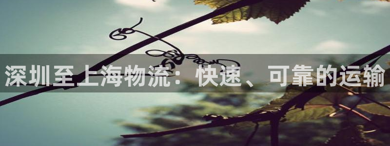 28圈绿骨头