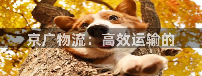 28圈吧