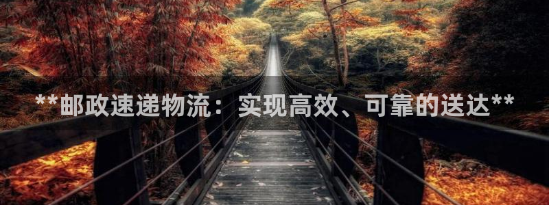 28圈注册上限是啥意思：**邮政速递