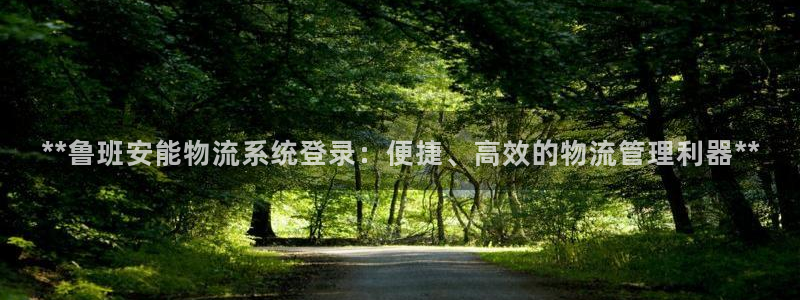 28圈游戏官网平台：**鲁班安能物流