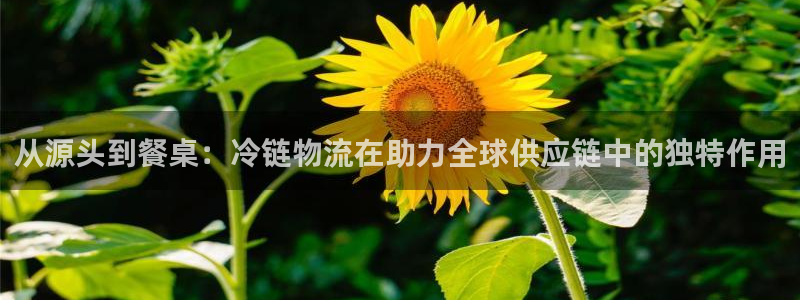自行车28圈是什么意思：从源头到餐桌