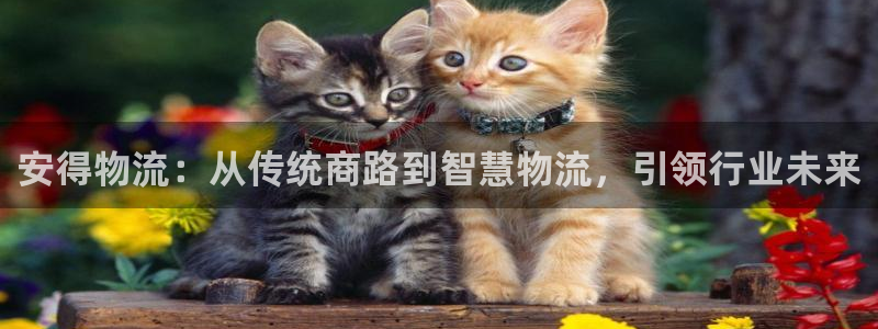 28圈吧：安得物流：从传统商路到智慧