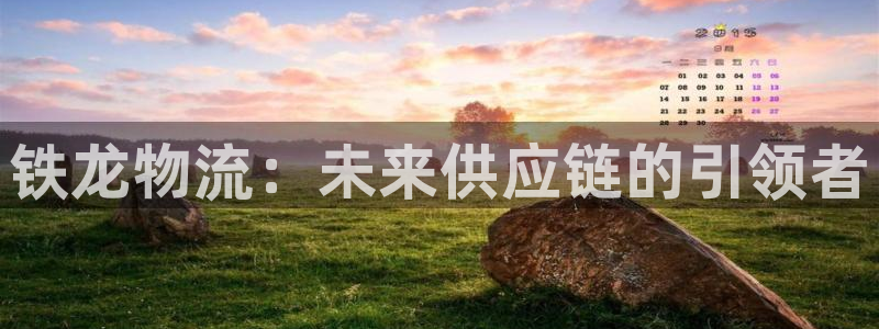 28圈加拿大怎么玩：铁龙物流：未来供