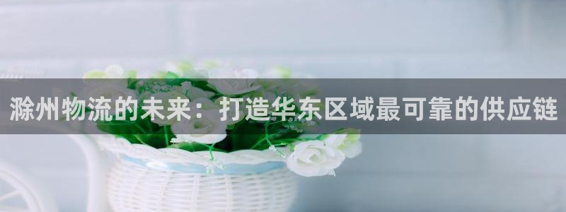 麻将128圈：滁州物流的未来：打造华