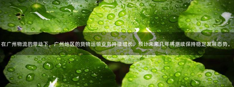 28圈注册流程：在广州物流的带动下，