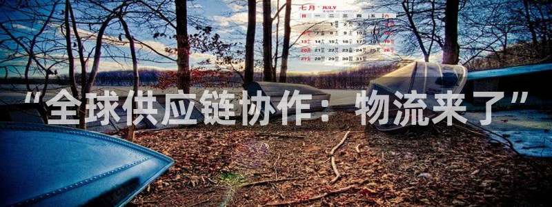28圈加拿大能提现吗：“全球供应链协