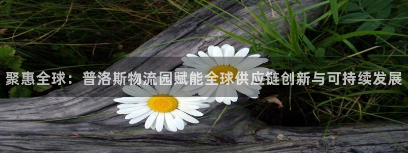 28圈加拿大真假怎么看：聚惠全球：普