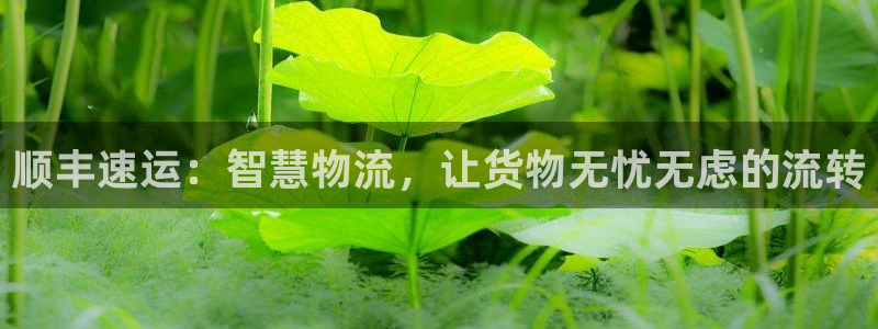 28圈加拿大下载：顺丰速运：智慧物流，让货物无忧无虑的流转