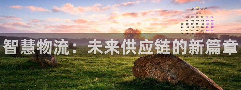 28圈合法吗：智慧物流：未来供应链的