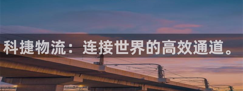 28圈黑款：科捷物流：连接世界的高效