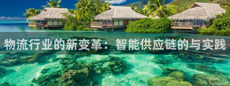 28圈代理落网