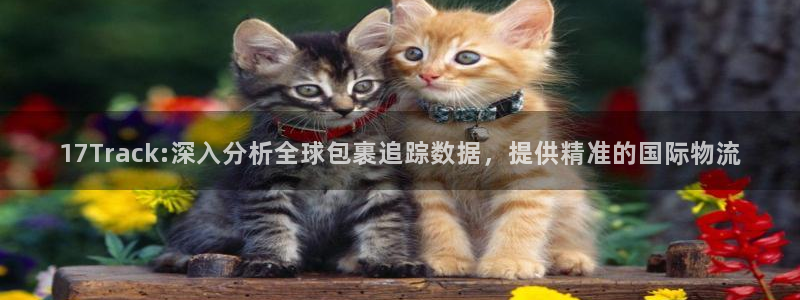 28圈反水什么时候到：17Track