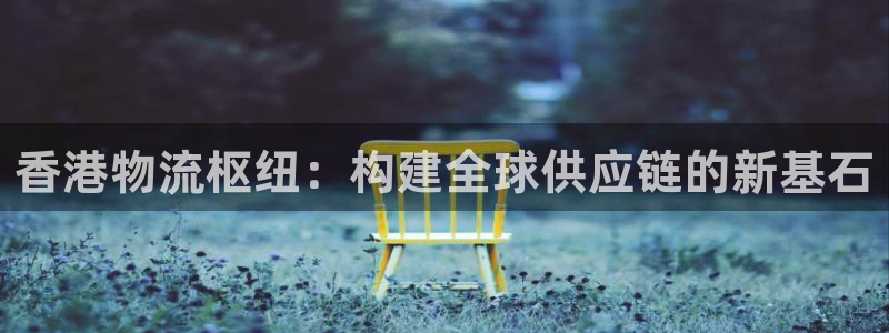 28圈加拿大：香港物流枢纽：构建全球