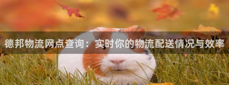 28圈pg如何退钱：德邦物流网点查询