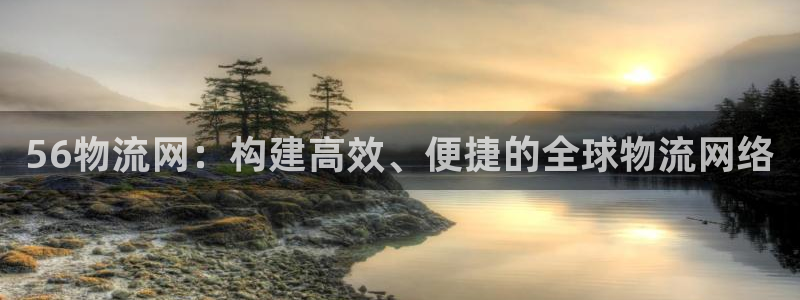 28圈赌博被抓：56物流网：构建高效