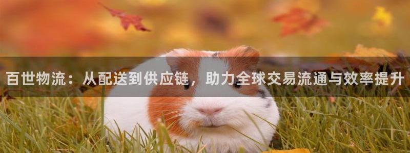 28圈圈助手：百世物流：从配送到供应