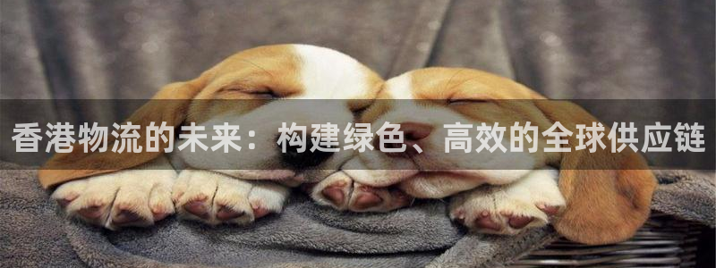 28圈官方版正版：香港物流的未来：构