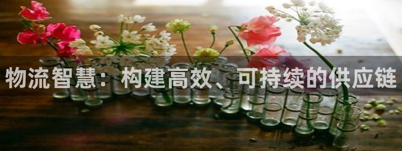 28圈app赢了500万：物流智慧：