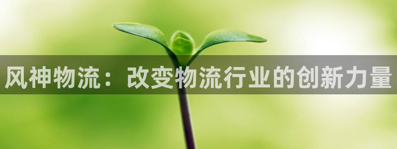 28圈能提现吗：风神物流：改变物流行