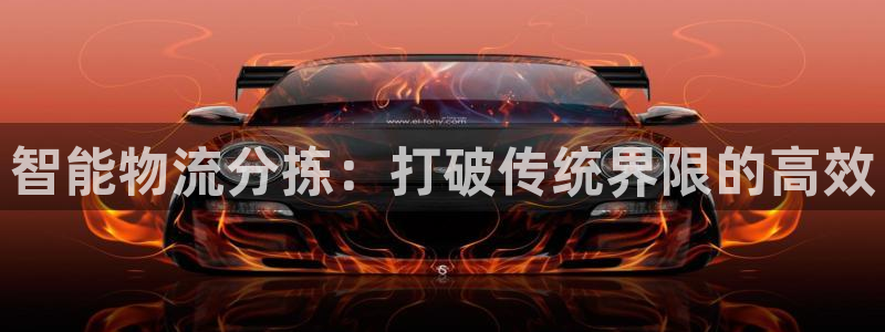 28圈正规吗：智能物流分拣：打破传统