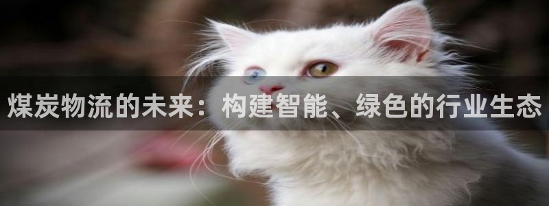 28圈黑不黑：煤炭物流的未来：构建智