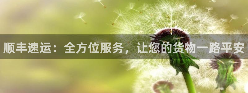 28圈注册链接教程：顺丰速运：全方位