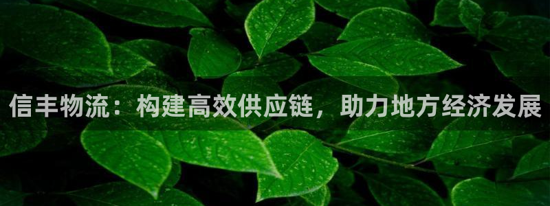 28圈加拿大在线预测：信丰物流：构建