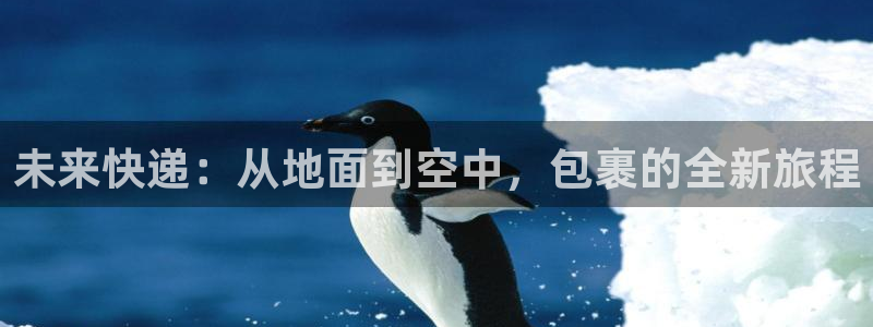 28圈选28ng官网：未来快递：从地面到空中，包裹的全新旅程