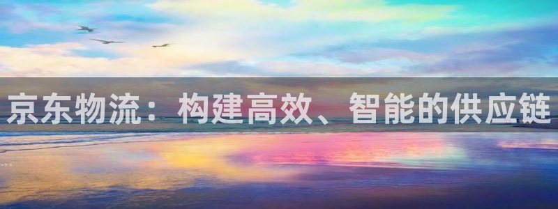 28圈登录用户名登录不上：京东物流：