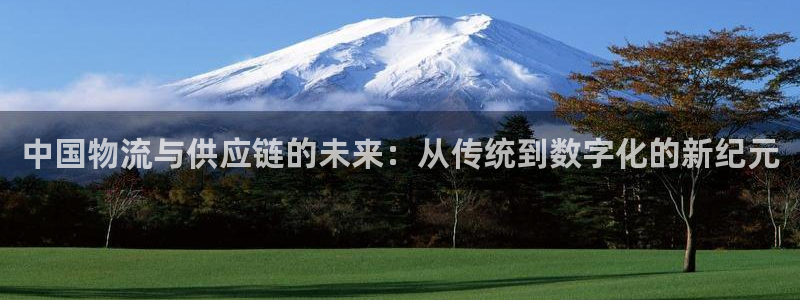 28圈链接