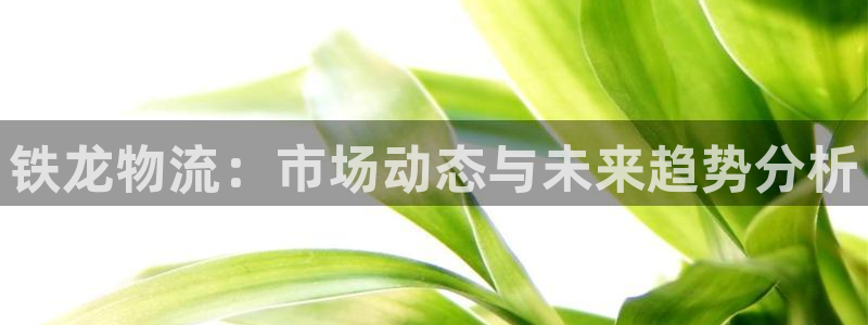 28圈可以退款吗：铁龙物流：市场动态