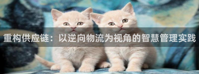 28圈官网预测：重构供应链：以逆向物