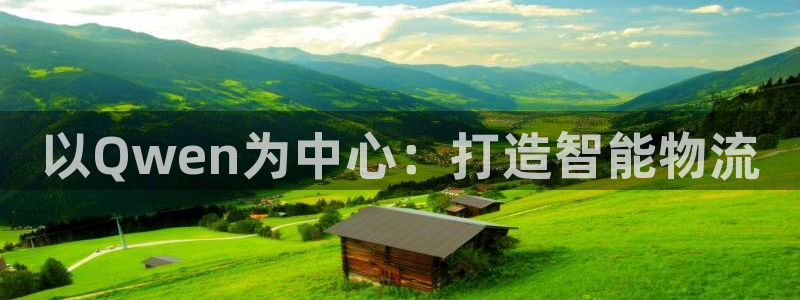 28圈加拿大是什么：以Qwen为中心