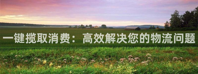 28圈反水怎么算：一键揽取消费：高效
