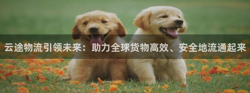 28圈加拿大6.0